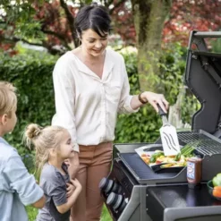 Barbecue Gaz Rogue 365 R 2 Brûleurs - NAPOLEON -Barbecue Soldes Magasin barbecue gaz rogue 365 serie r 2 bruleurs 2